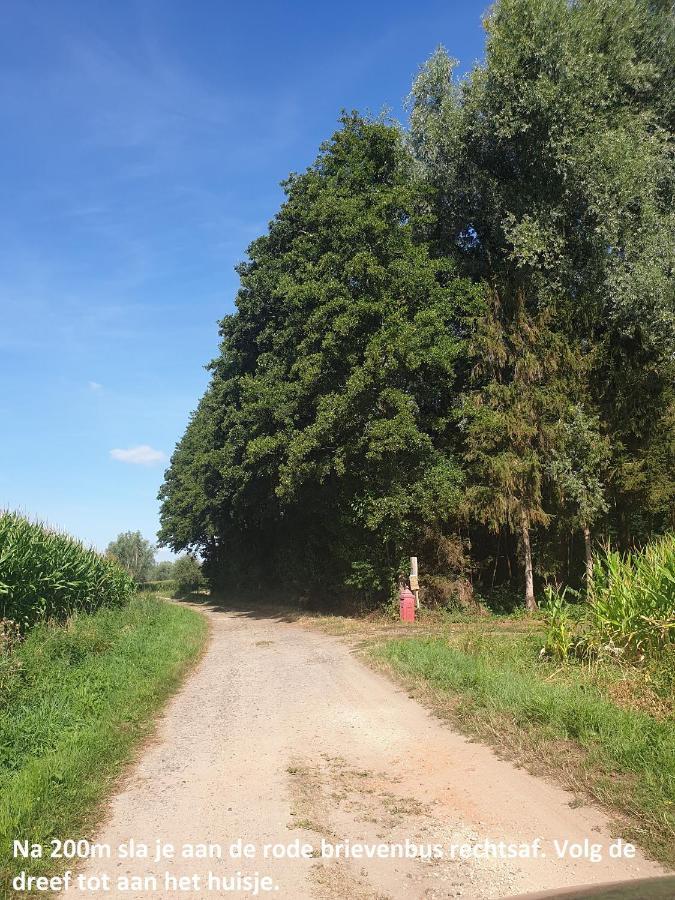 Eden Villa Sint-Pauwels Kültér fotó